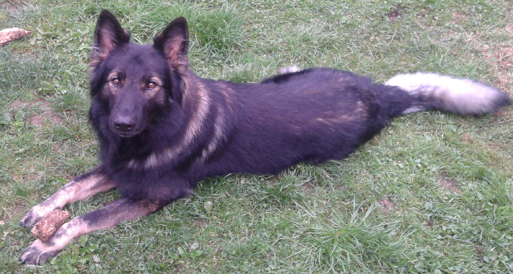 Cruso 20120912_071815